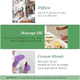 Handcraft Blends Tea Tree Essential Oil 118 ml Pure Therapeutic Grade Glass view 3