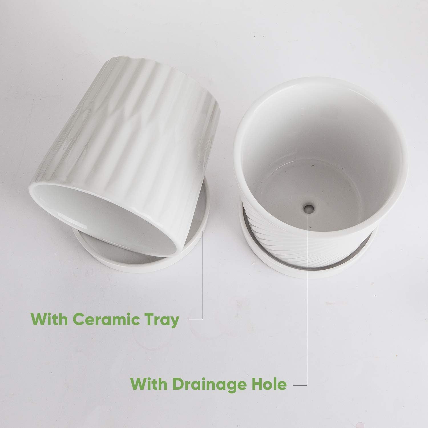 Flower Pots,6 Inch Succulent Pots with Drinage,Indoor Round Planter Pots with Saucer,White Cactus Planters with Hole,Outdoor Graden Pots 4 Pack: Garden & Outdoor