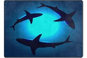 LGLSDHCJK Three Floating Sharks Indoor Doormat Bath Rugs Non Slip, Washable Cover Floor Rug Absorbent Carpets Floor Mat Home Decor for Kitchen (16x24)