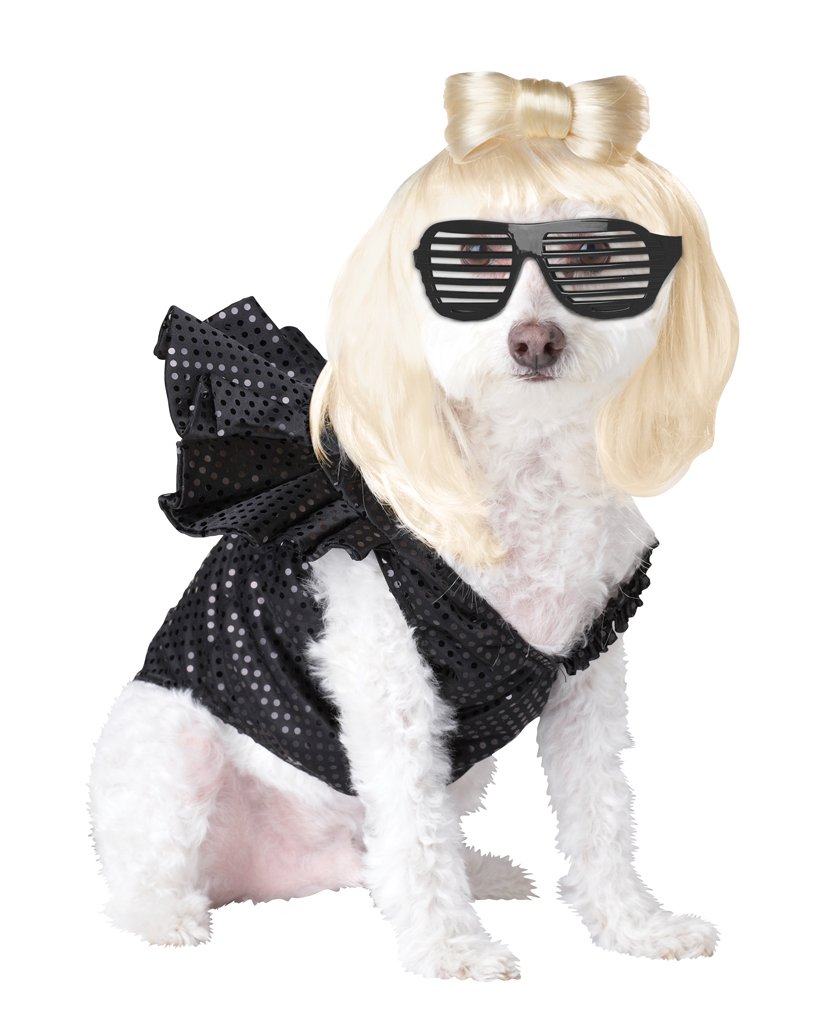 Pup-A-Razzi Pop Sensation Dog Costume, Medium