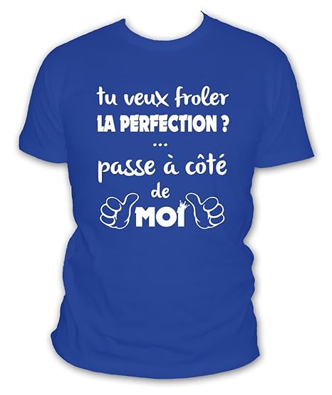 à Côté De Moi En Anglais T-shirt humour: Si tu veux froler la perfection passe à coté de moi
