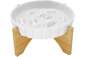 TYJ Slow Feeder Cat Bowl,Cat Slow Feeder with Stand,Higher Edge Fish Pond Design,Ceramic Cat Bowl Cat Puzzle Feeder Suitable for Dry and Wet Food, Focus On Healthy Diet for Cat Small Breed (Type A-White)