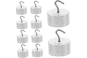 CONGARTENO 10pcs 20g Metal Hook Weights Laboratory Weight Set Small Science Physics Lab Supplies for Experiments