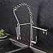 Rozin Single Hole Spring Kitchen Sink Faucet LED Light Sprayer Mixer Tap Brushed Nickel