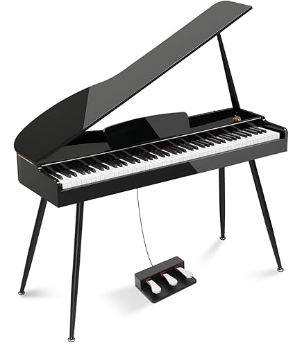 Amazon.com: Korg microPiano 61 - Key Minature Grand Piano, Black