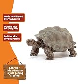 Schleich Giant Tortoise Figurine Realistic Galapagos Turtle Wildlife view 4