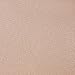 Womens Waist Control Top Tight Panty Hose,10 Den Silk stockings for Women all Toe Sheer Tights Panty Hose
