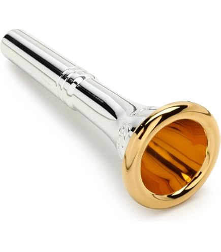 Amazon.com: Schilke French Horn 29 Mouthpiece : Musical Instruments
