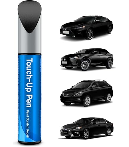 Amazon.com: RSACET 212 Obsidian Touch Up Paint Kit