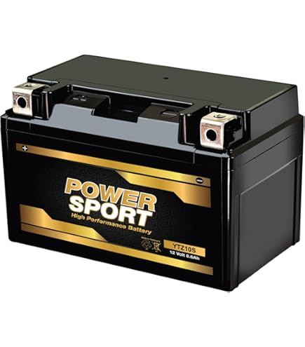 Amazon.com: Weize YTZ10S-BS High Performance - Maintenance