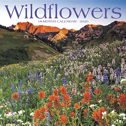 B.E.S.T Wildflowers 2020 Wall Calendar [P.D.F]