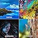 U.S. Art Supply 8x10 inch Stretched Canvas for Painting Super Value 10-Pack - Triple Primed Professional Artist Quality White Blank 5/8