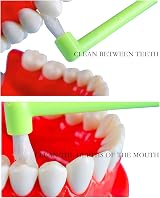 LeFeirr 3 Pack Slim Interspace Toothbrushes for Orthodontic Care view 2