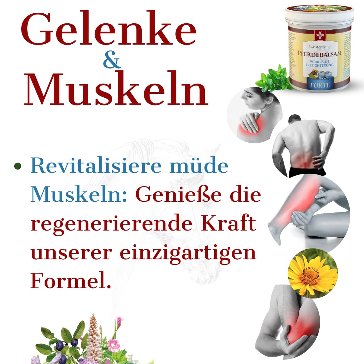 SwissMedicus Pferdebalsam mit 25 Kräuter (Beinwell, Rosskastanie, Arnika, Eukalyptus) – Spürbare Linderung bei Massage – Für Muskeln, Gelenke und Rücken – Kühlende Extra-Starke Formel – 500 ml 3