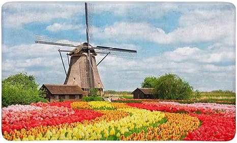 Amazon オランダの田舎の風車とチューリップの玄関マットノンスリップ屋内 屋外玄関マットマットの家の装飾 敷物ゴム裏地23 6 L X 15 7 W 玄関マット オンライン通販