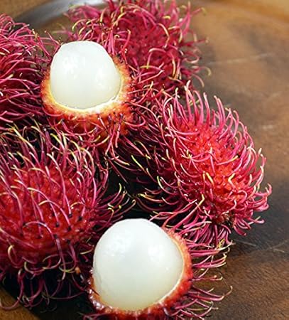 Image result for Rambutan