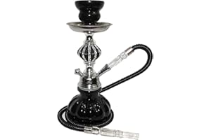 AHYGZWZSYC Hookah,2 Hose,Water Shisha Bong Glass Smoking,Free charcoal &Mouth tips (Green)