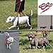 Uarter Nylon Dog Leash Extra Long 6ft Lead with 2 Dual Traffic Padded Handle Pet Leash