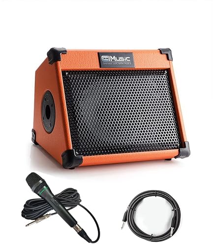 ギター L.R. Baggs Element Active System L.R.Baggs Element Active System VTC – United States
