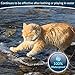 Premium Care Flea And Tick Collar For Cats | Prevents And Removes Fleas, Ticks, Lice And Mosquitos In 24 Hours | 8 Months Protection | 100% Natural Essential Oil Flea And Tick Prevention For Cats