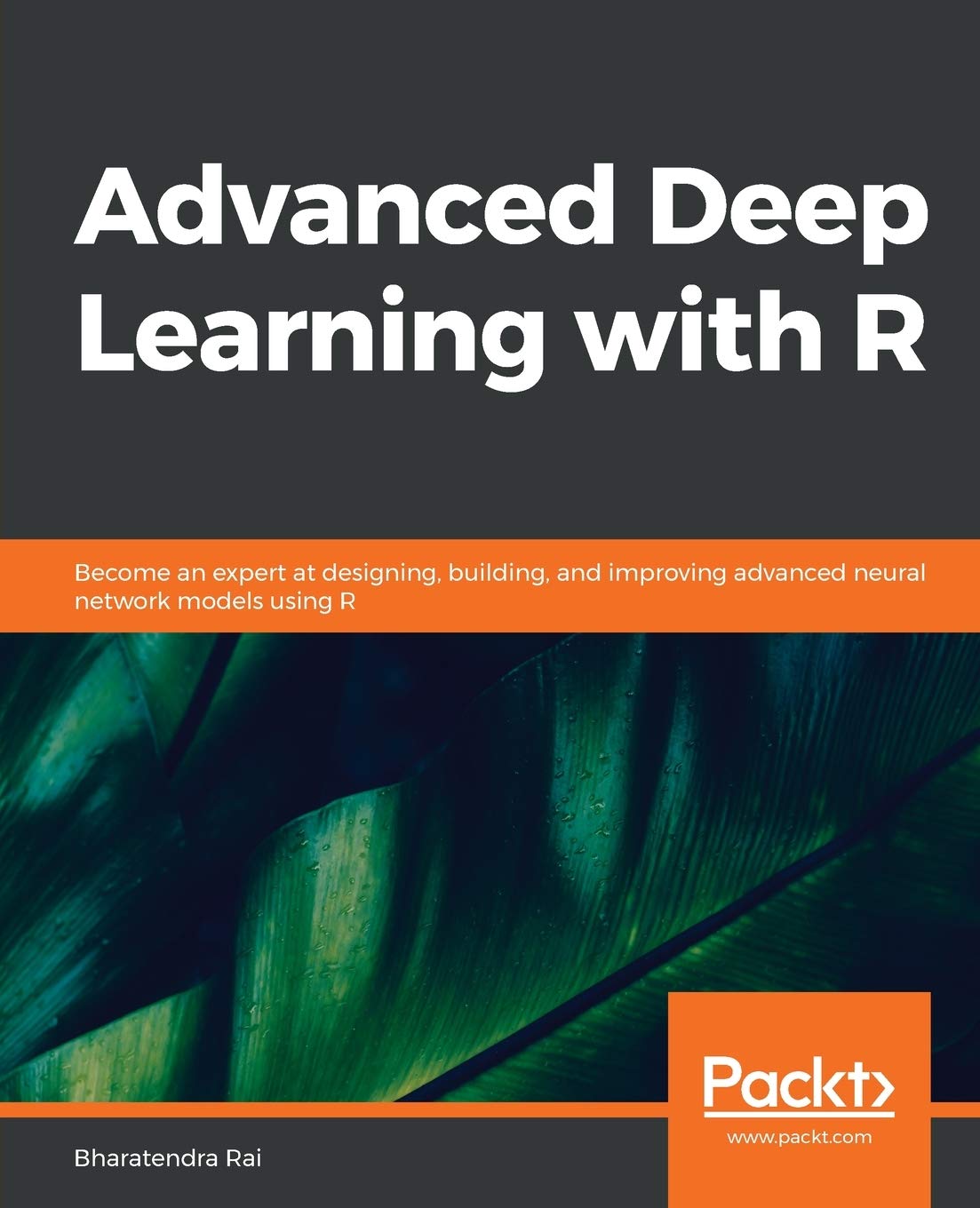 Advanced Deep Learning With R Become An Expert At Designing