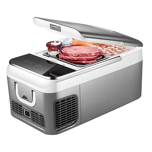 ZQ Mini nevera Compresor portátil, Refrigerador, Refrigerador ...