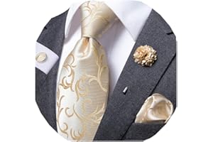 Dubulle Paisley Tie and Lapel Pin for Men Mens Paisley Stripe Floral Necktie Pocket Square Cufflinks Wedding Party
