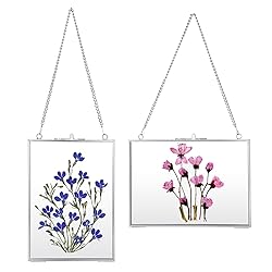 JUXYES Set of 2 Brass Wall Hanging Photo