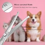 HASHIMOTO Small Dog Grooming Scissors 5.0 in Rounded Tips Micro-Serrated view 3