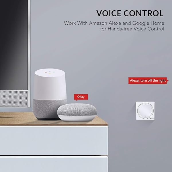TECKIN Interruptores Inteligentes de pared compatibles con Alexa Google Home Interruptores WiFi Inteligentes con control remoto y de voz Ajuste del Temporizador No Se Sequiere Hub