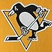 NHL Pittsburgh Penguins Stanley Cup Champions Banner