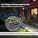 FIRMERST 16/2 Low Voltage Landscape Wire 100 Feet, 16 AWG 2 Conductor Electric Wire, 16 Gauge Low Voltage Low Voltage Light Cable, Direct Burial Lamp Wire for Landscape Lighting Wire, UL Listed