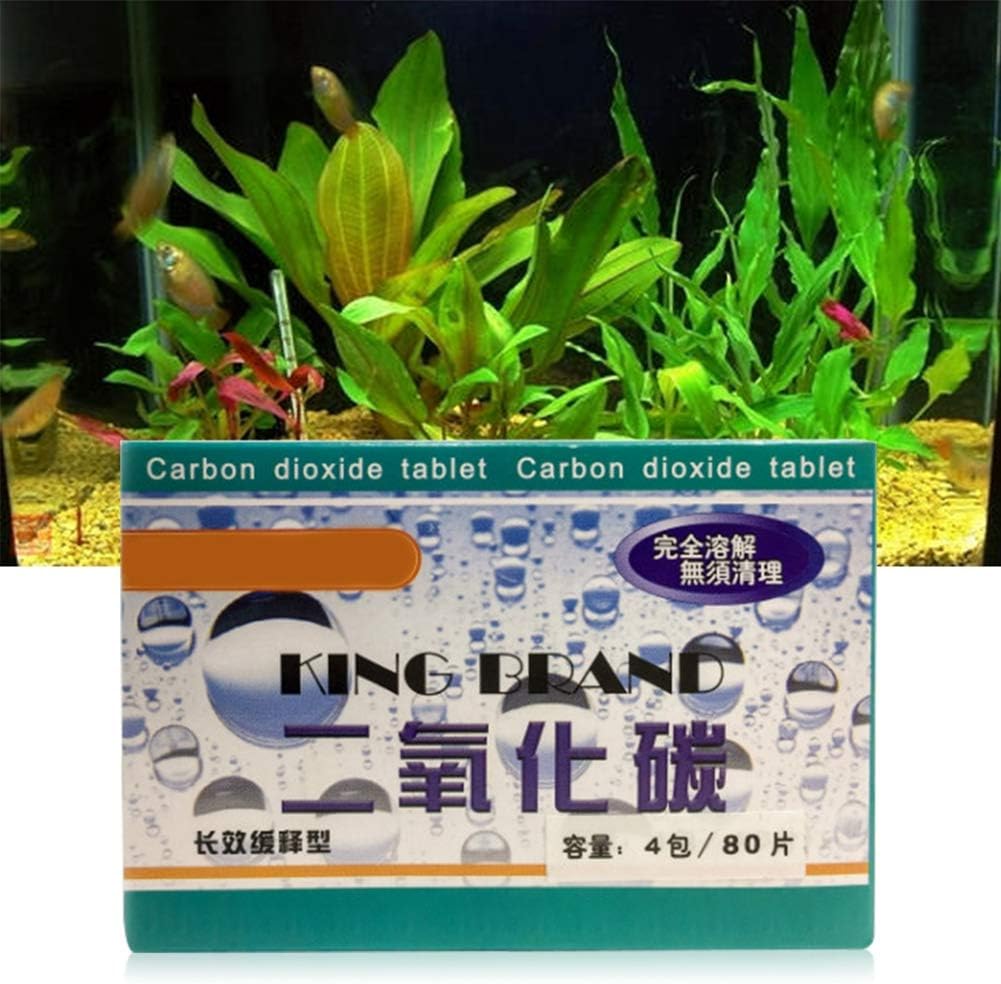 co2 supply for aquarium