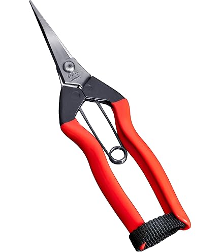 Amazon.com : Snipper T-551 by Chikamasa : Scissors : Patio, Lawn