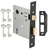 Toptotoo Mortise Lock Set Interior Door, Old Door