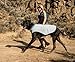 RUFFWEAR - Swamp Cooler, Cooling Vest for Dogs, Graphite Gray (2016), Large