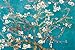 Almond Branches in Bloom, San Remy, c.1890 Poster by Vincent van Gogh 36 x 24in