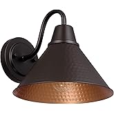 Globe Electric 60000013 1-Light Outdoor Wall Sconce, Bronze, 9" Warehouse Shade, Painted Gold Interior, Gooseneck Stem, Porch