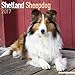 Shetland Sheepdog Calendar 2017 - Sheltie - Dog Breed Calendars - 2016 - 2017 wall calendars - 16 Month by Avonside