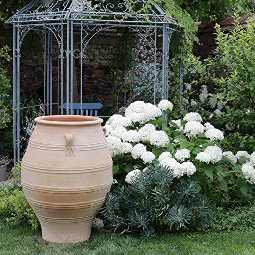 Palatina-Keramik | XXL Amphore aus Terracotta | 100 cm | frostfest | mediterrane Pflanzgefäße Pflanzkübel für Garten Terrasse Balkon Außenbereich Thymus 100 cm – Bild 6