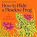 How to Hide a Meadow Frog and Other Amphibians (Reading Railroad)