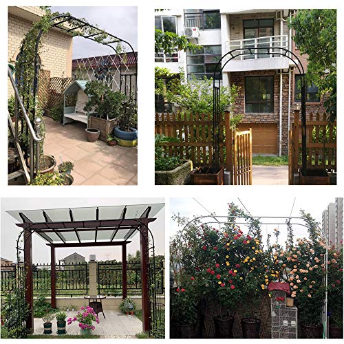 GEREP Rosenbogen Torbogen aus Metall Gartenbogen, witterungsbeständig, für Kletterpflanzen und Rosen/Schwarz / W3.2×H2… – Bild 7