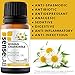 SenseLAB Roman Chamomile Essential Oil - 100% Pure Extract Chamomile Oil - Therapeutic Grade Oil Essential Oil - Essential oils for skin - Body Oil (10 ml)