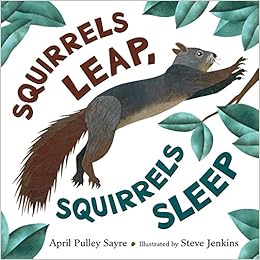 Book's Cover of Squirrels Leap, Squirrels Sleep (Inglés) Tapa dura – Álbum de fotos, 9 noviembre 2016