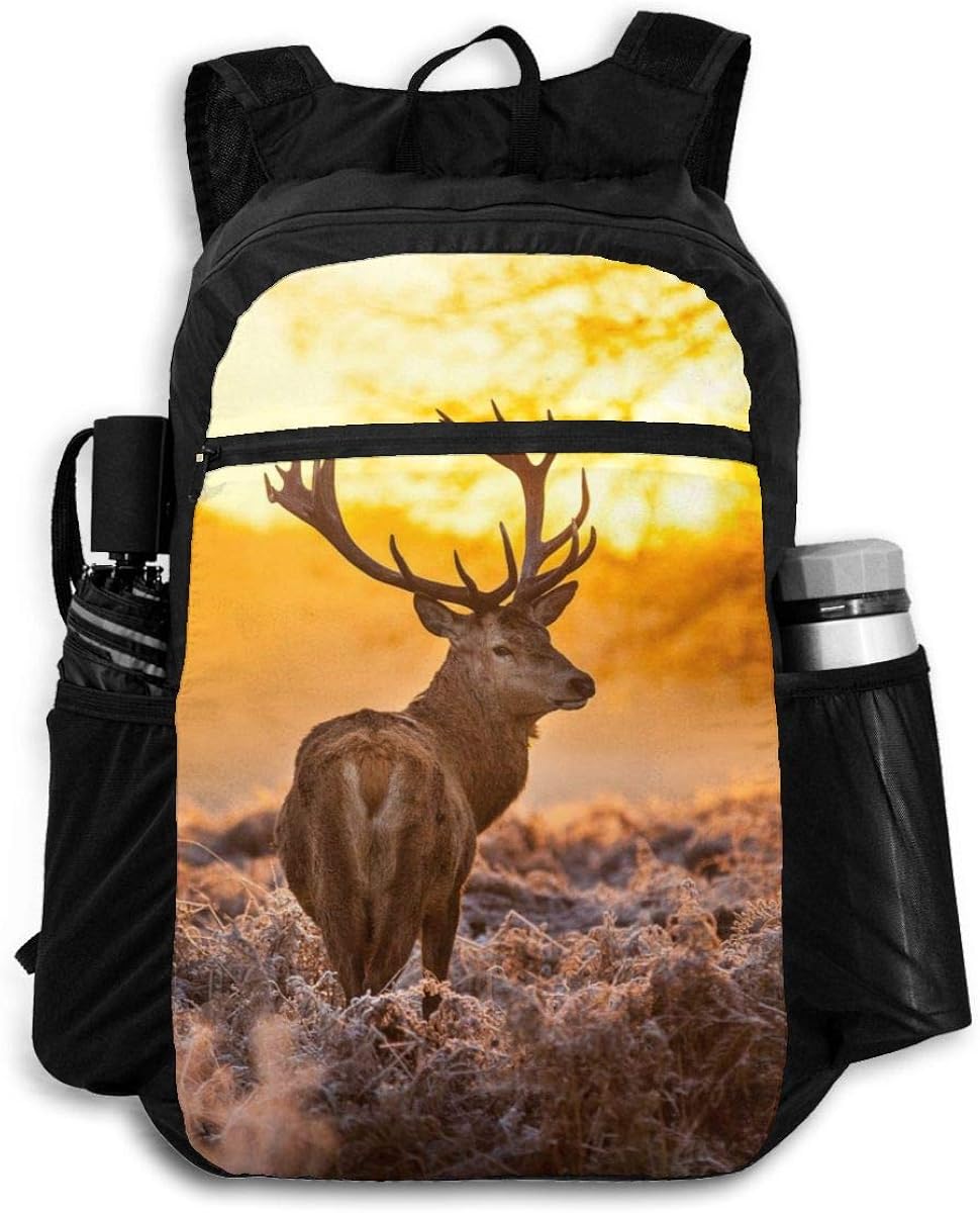 Lightweight Foldable Backpacks, Antler Red Deer Morning Sun Durable