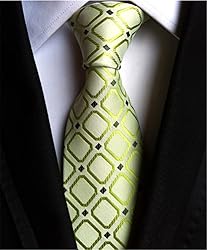 Elfeves Men's Green Checks Woven Silk Tie Spring