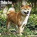 Shiba Inu Calendar - Dog Breed Calendars - 2018 - 2019 Wall Calendars - 16 Month by Avonside