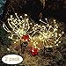 Solar Firework Light, Epicgadget 105 LED Warm Light Outdoor Firework Solar Garden Decorative Lights for Walkway Pathway Backyard Christmas Decoration Parties (Warm White) (2 Pieces)