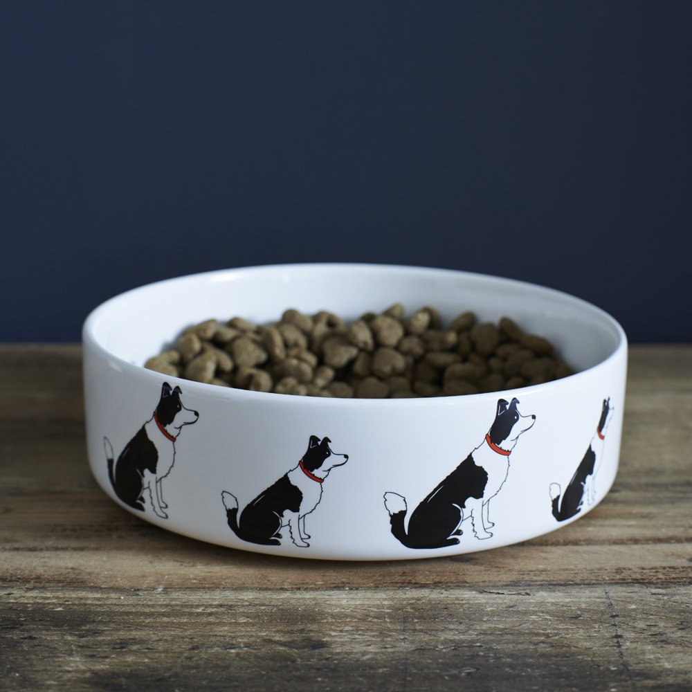 Sweet William Border Collie Dog Bowl
