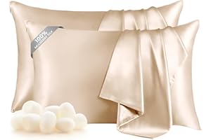 THXSILK Set of 2 100% Mulberry Silk Pillowcases for Hair and Skin Health, 19 Momme Soft and Smooth Pillowcases with Hidden Zi